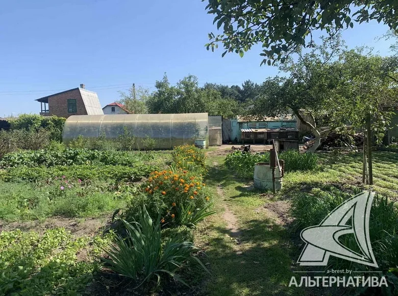 Parcelas  Znamienski sielski Saviet, Belarús