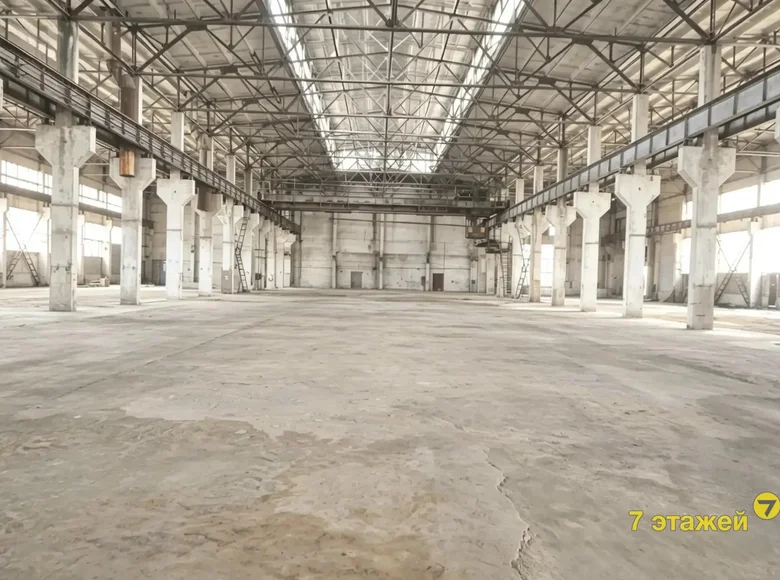 Производство 12 000 м² Новолукомль, Беларусь