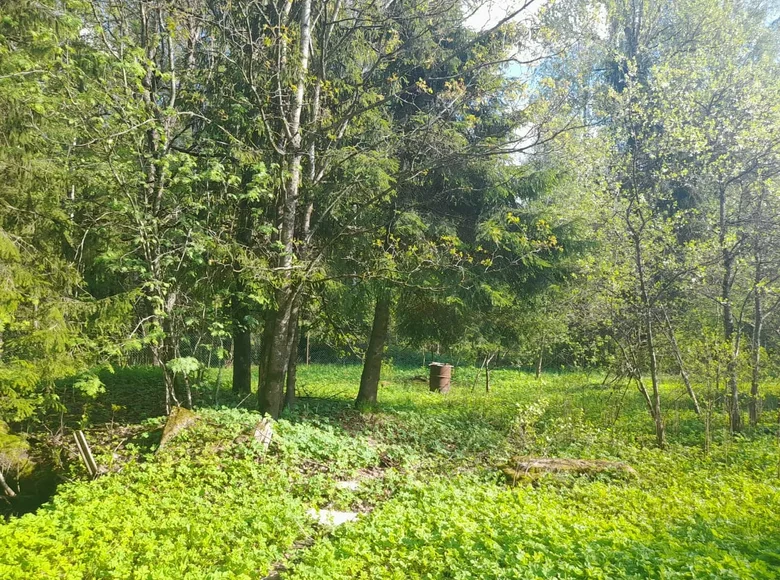 Land  Nikolskoe, Russia