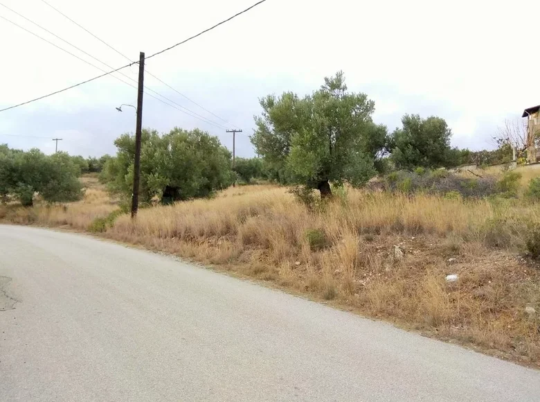 Land 1 room  Polygyros Municipality, Greece