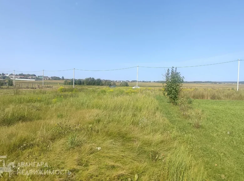 Land  Valevačy, Belarus