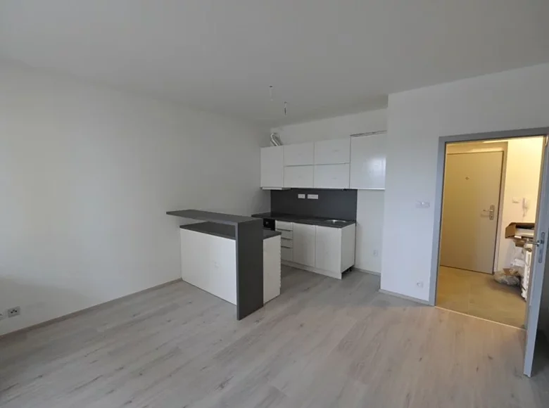 2 bedroom apartment 41 m² okres Brno mesto, Czech Republic