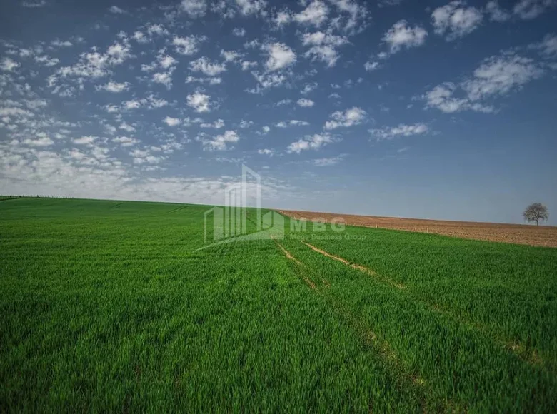 Działki 6 500 m² Tbilisi, Gruzja