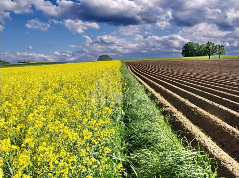 Działki 5 m² Tbilisi, Gruzja