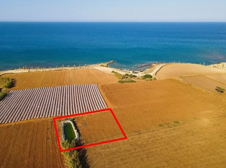 Atterrir  Paralímni, Chypre