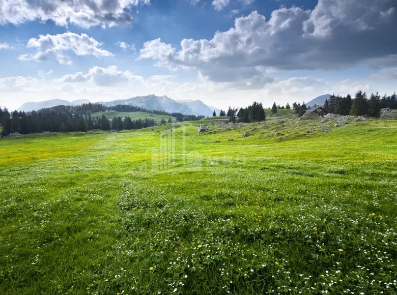 Земельные участки 1 500 м² Тбилиси, Грузия