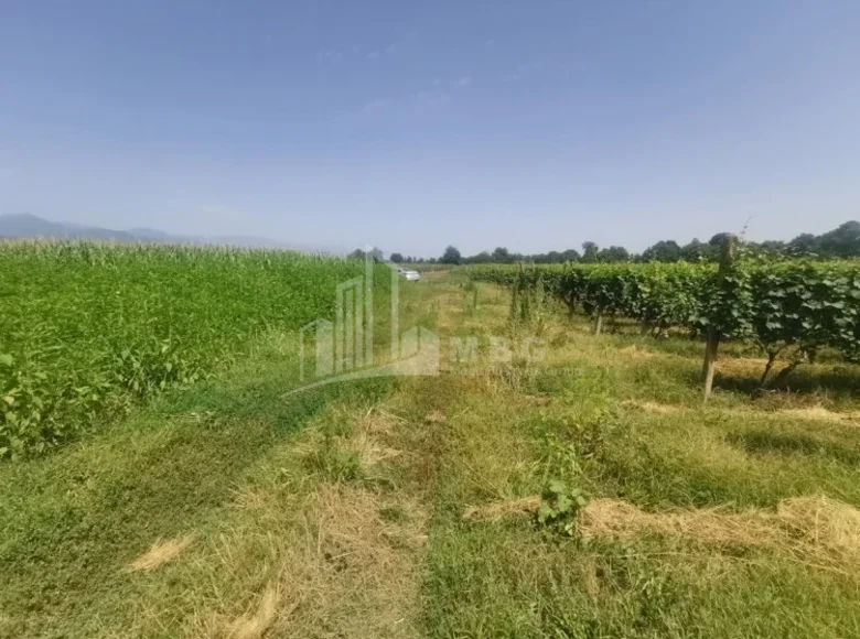 Atterrir 3 000 m² Tbilissi, Géorgie