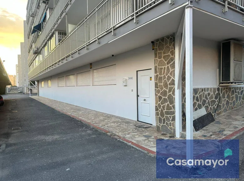 Gewerbefläche 272 m² Alicante, Spanien