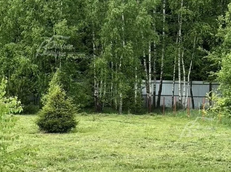 Land  Central Federal District, Russia