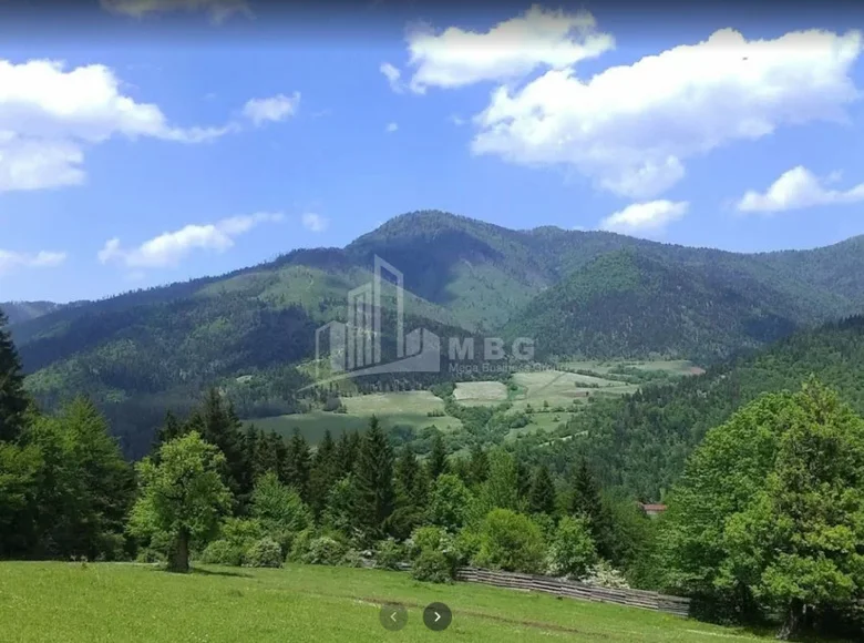 Atterrir 1 560 m² Tbilissi, Géorgie