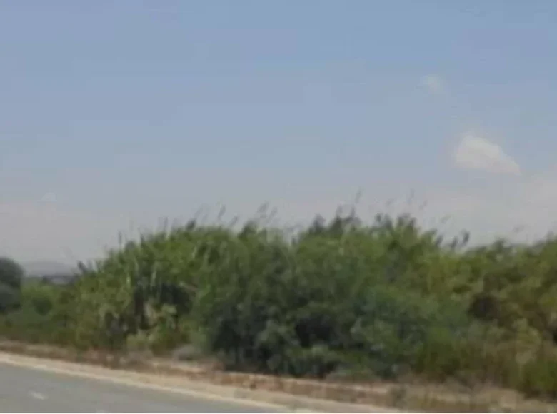 Land  Mazotos, Cyprus