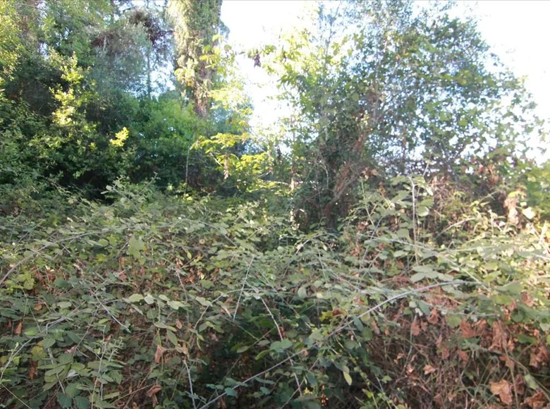 Działki 1 pokój  Kontokali, Grecja