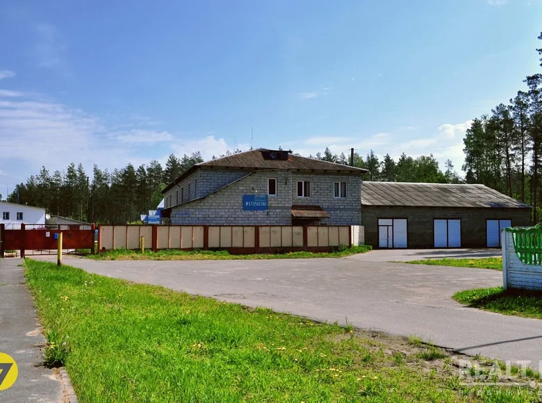 Manufacture 7 rooms 3 595 m² in Asipovichy District, Belarus