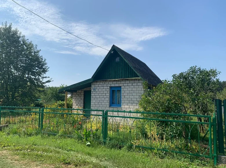 Dom 16 m² Dzitvianski sielski Saviet, Białoruś