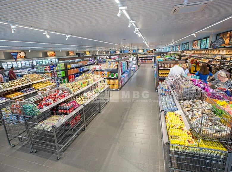 Propriété commerciale 500 m² à Tbilissi, Géorgie