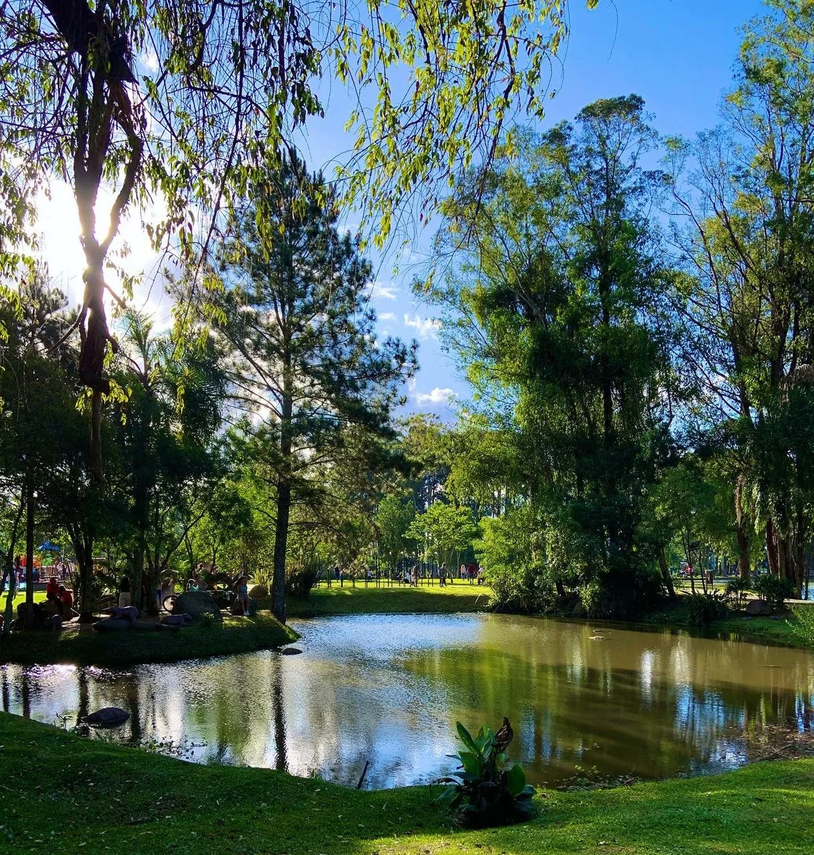 a park in the Brazilian city of Curitiba.