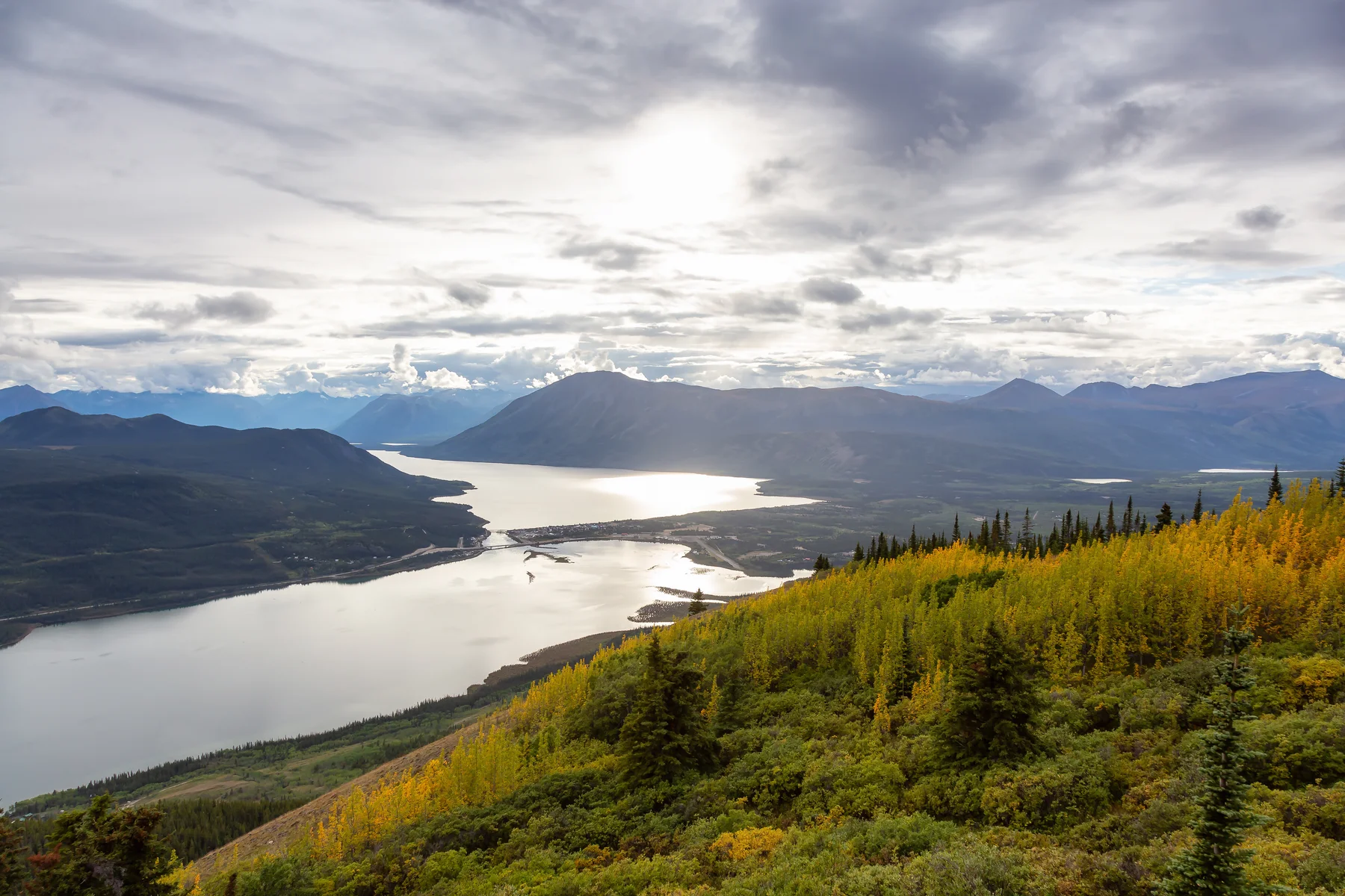 Nature in Yukon, Canada