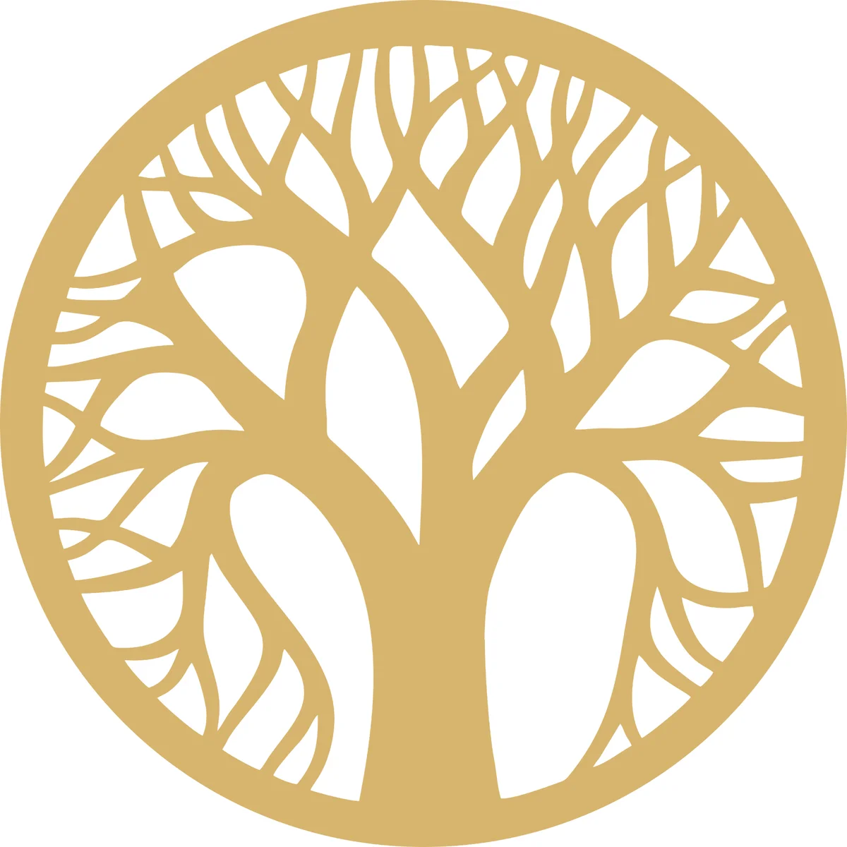 Veles Enterprises