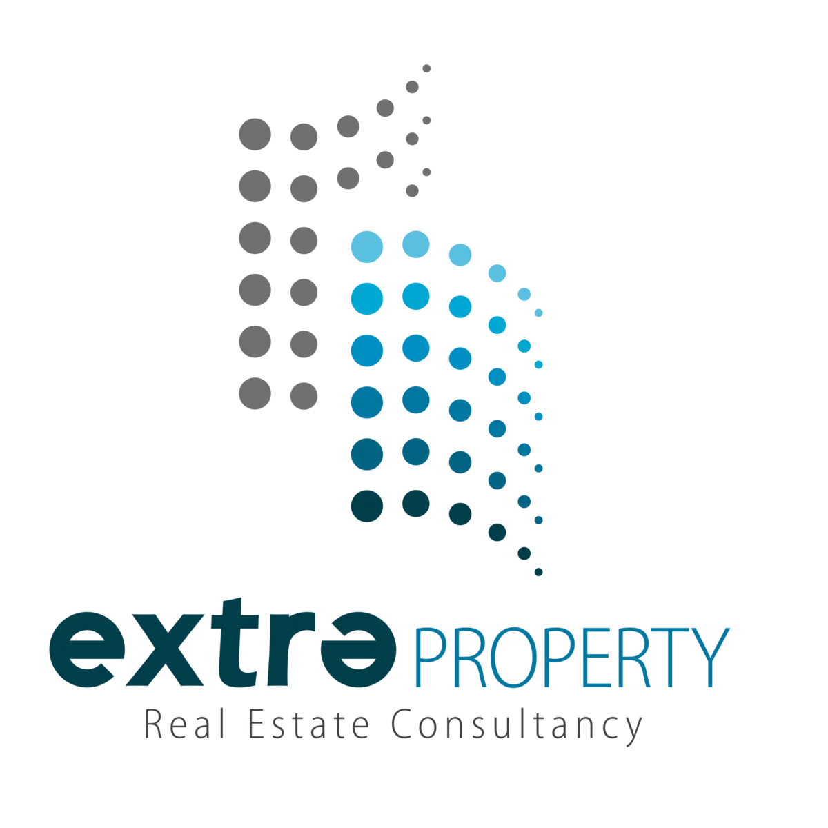 Extra Property