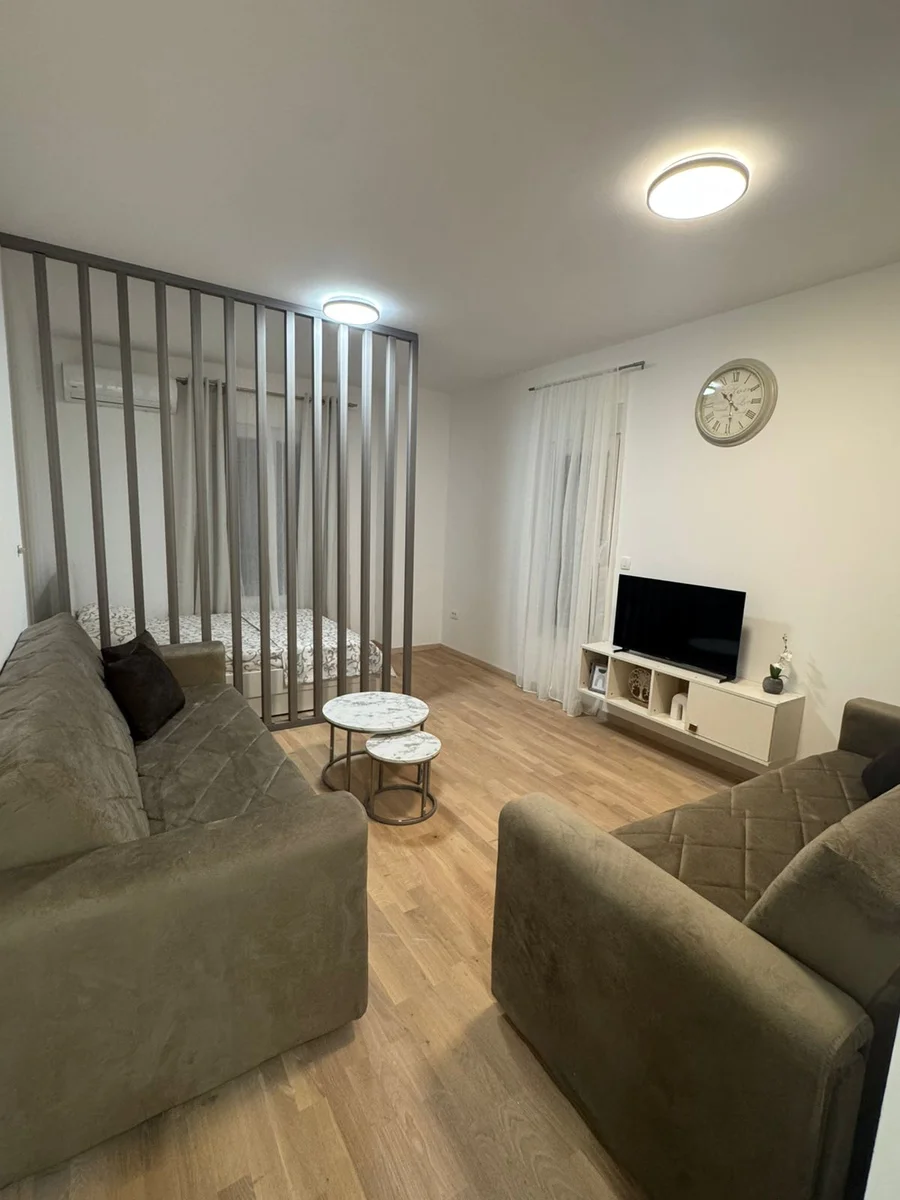1 room studio apartment