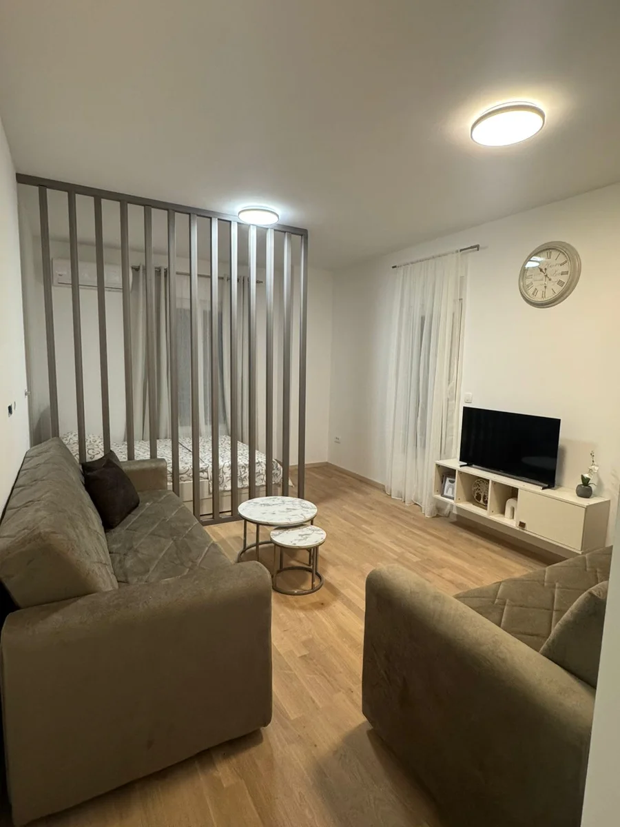 1 room studio apartment