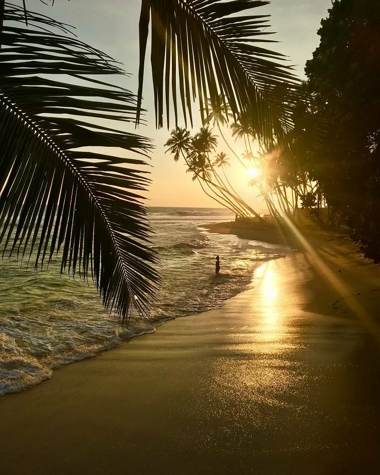 The ocean in Sri Lanka at sunset
