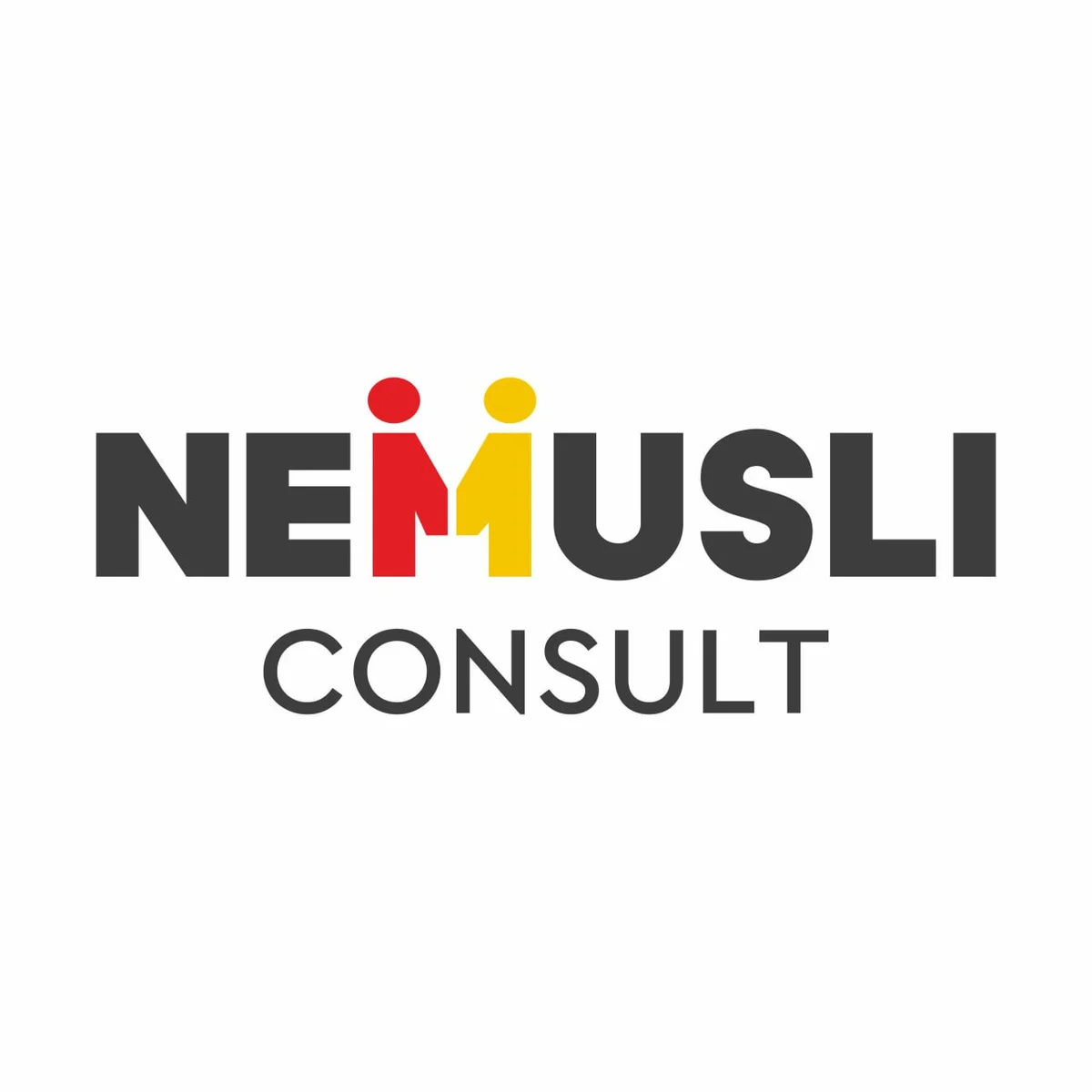 Nemusli Consult