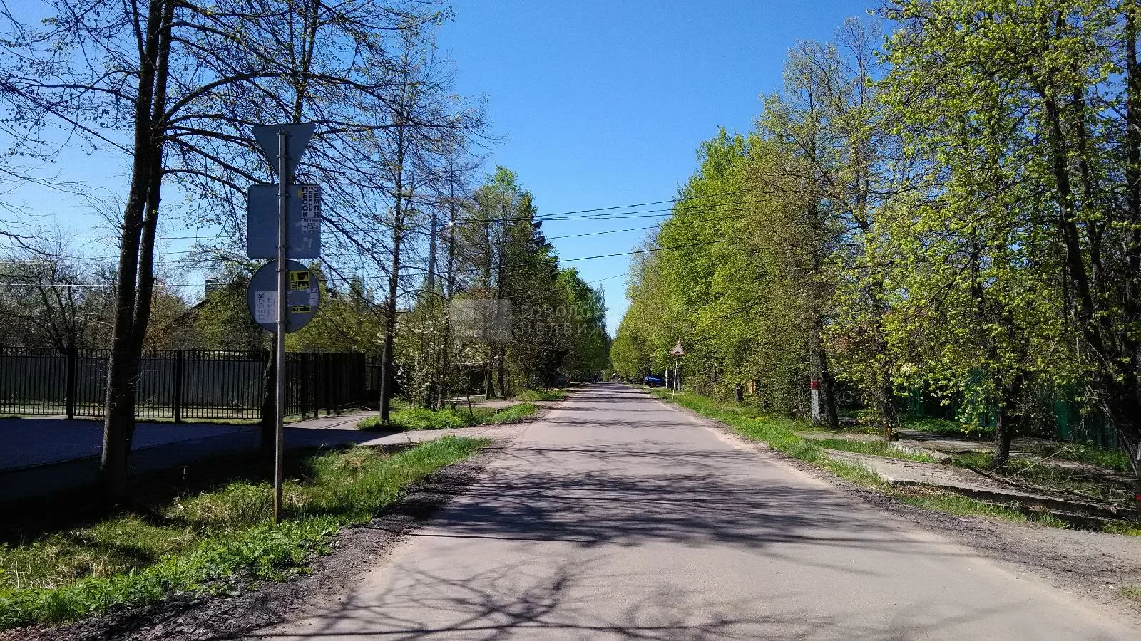 Лесной Пушкинский Район Фото