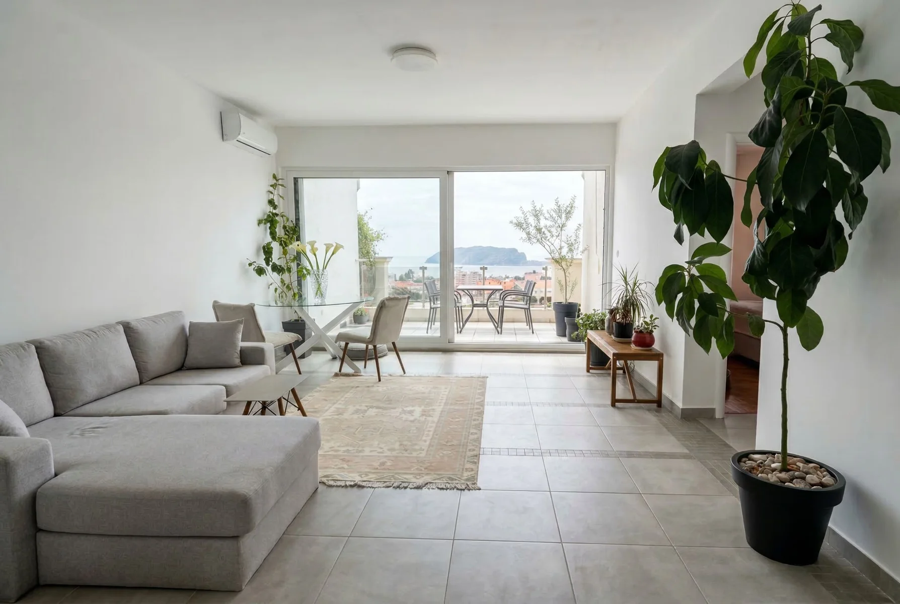 1 bedroom apartment