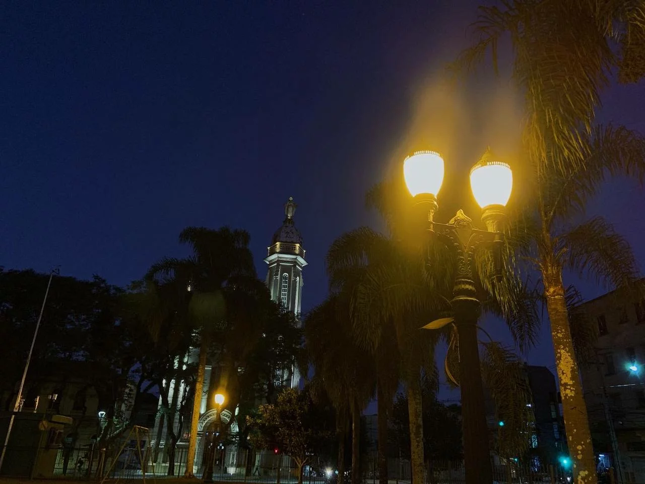 ночь и пальмы в Бразилии