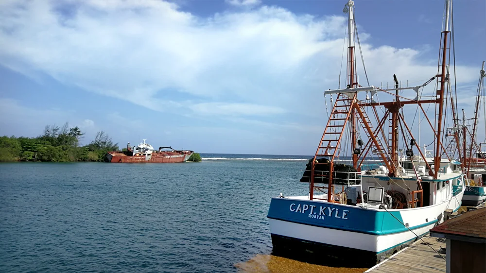 Why Buying Property in Honduras as a US Citizen Gives You Another Option