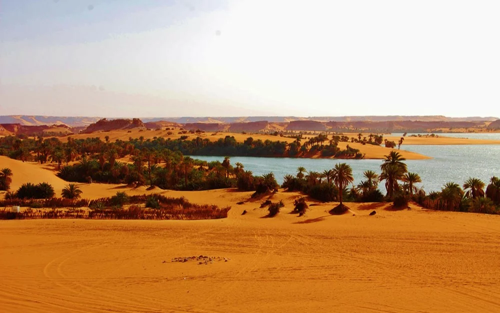 Property for sale in Chad Prices, description