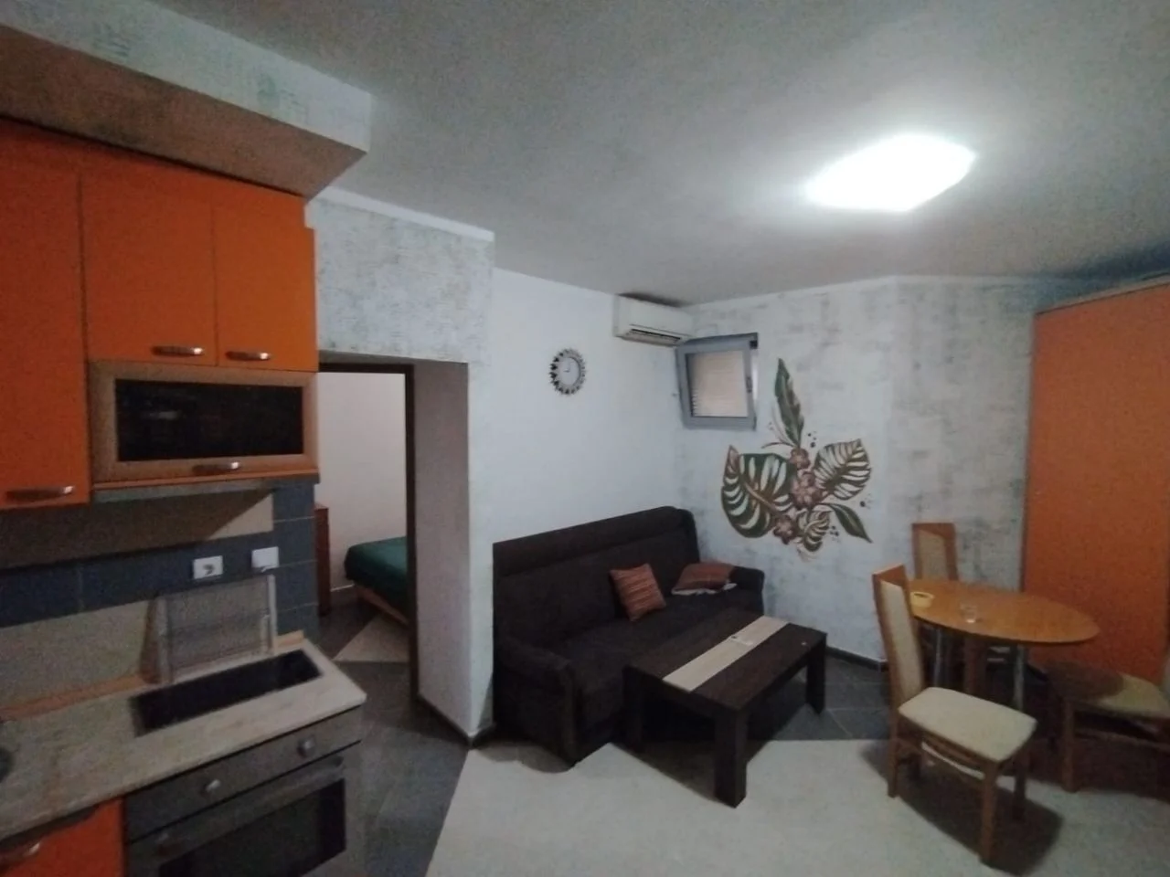 1 bedroom apartment