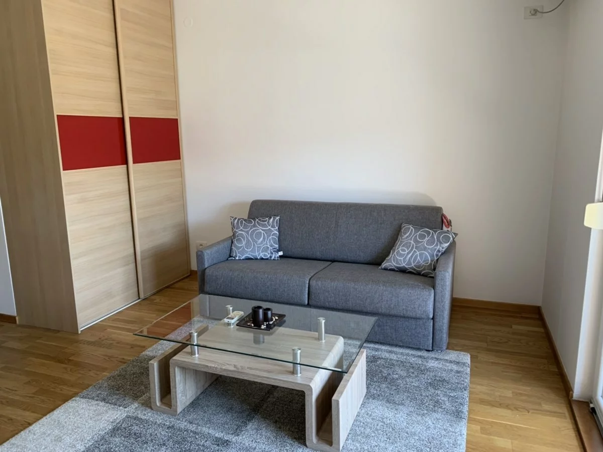 маленький серый диван в гостиной