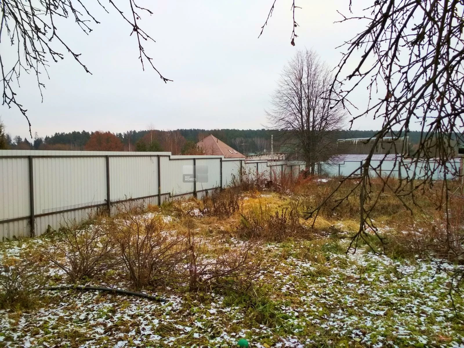 Московская область одинцовский городской округ деревня. Деревня Лапино. Одинцово деревня Лапино. П.Назарьевское, д.Лапино. Д.Лапино Одинцовский городской округ.