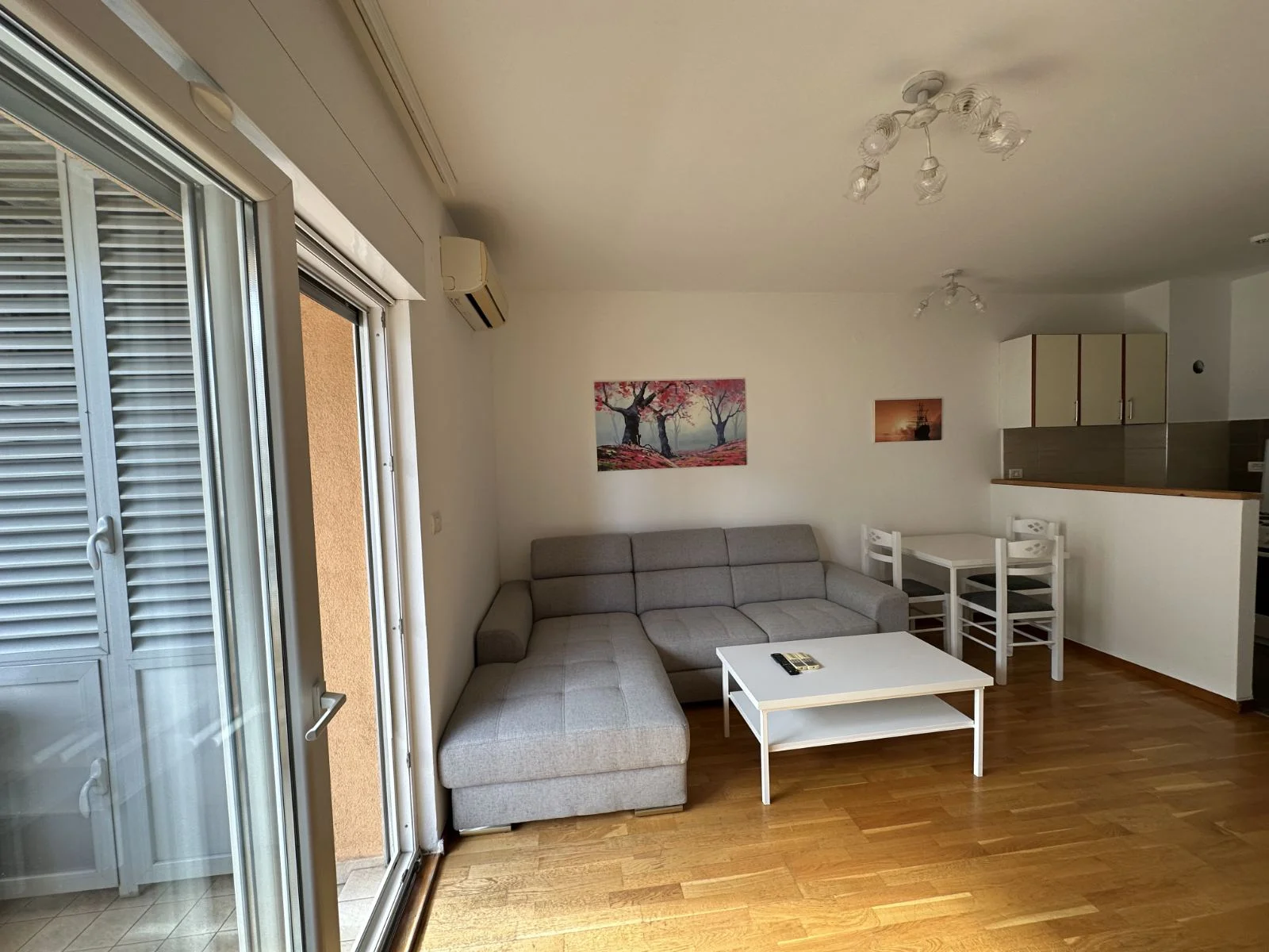 1 bedroom apartment