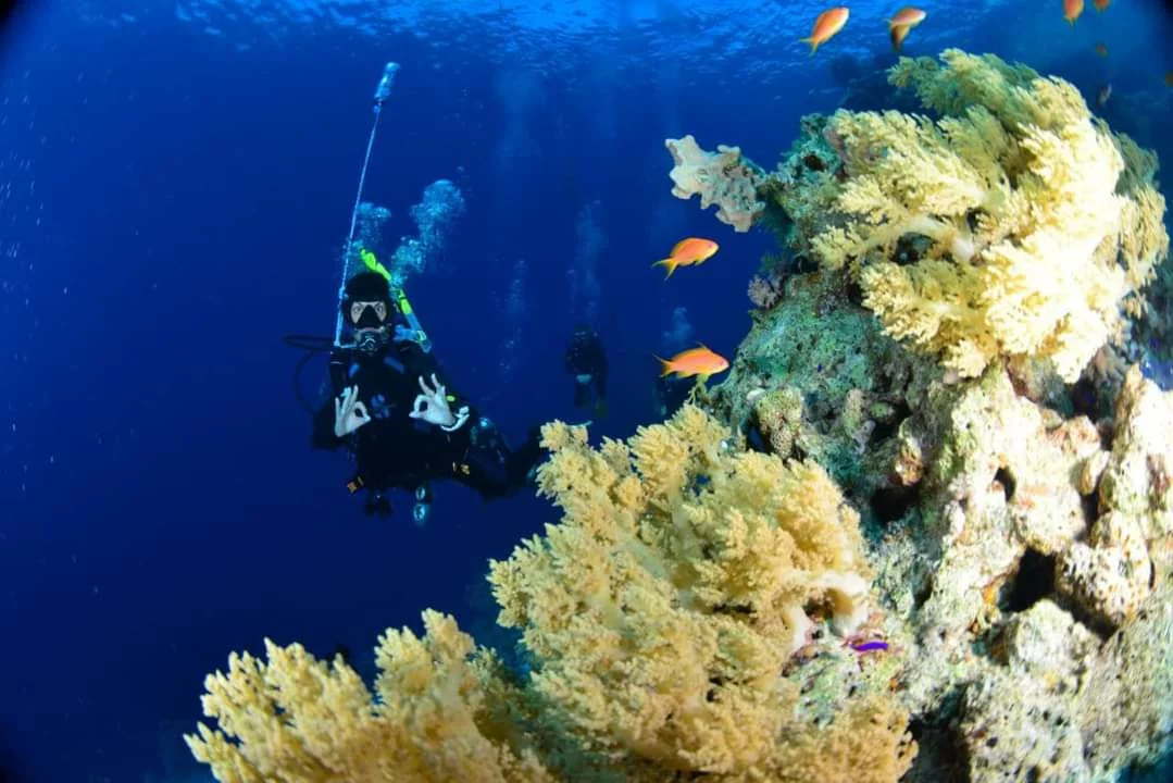 Red Sea diving instructor