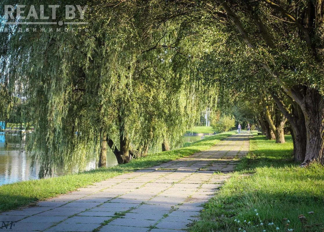 Зеленый Луг Минск Фото