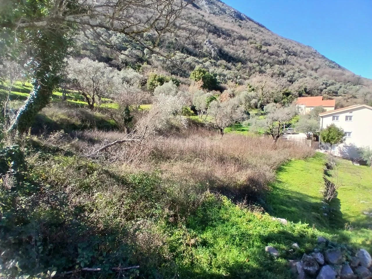 Apartment in Opština Kotor