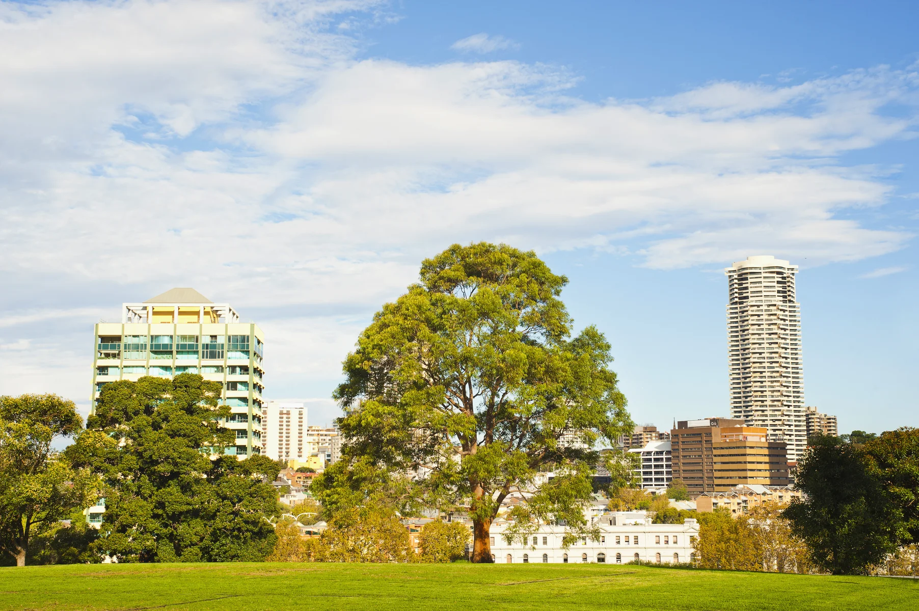 Geb&auml;ude im Zentrum von Sydney von den Botanischen G&auml;rten aus, Sydney, New South Wales, Australien