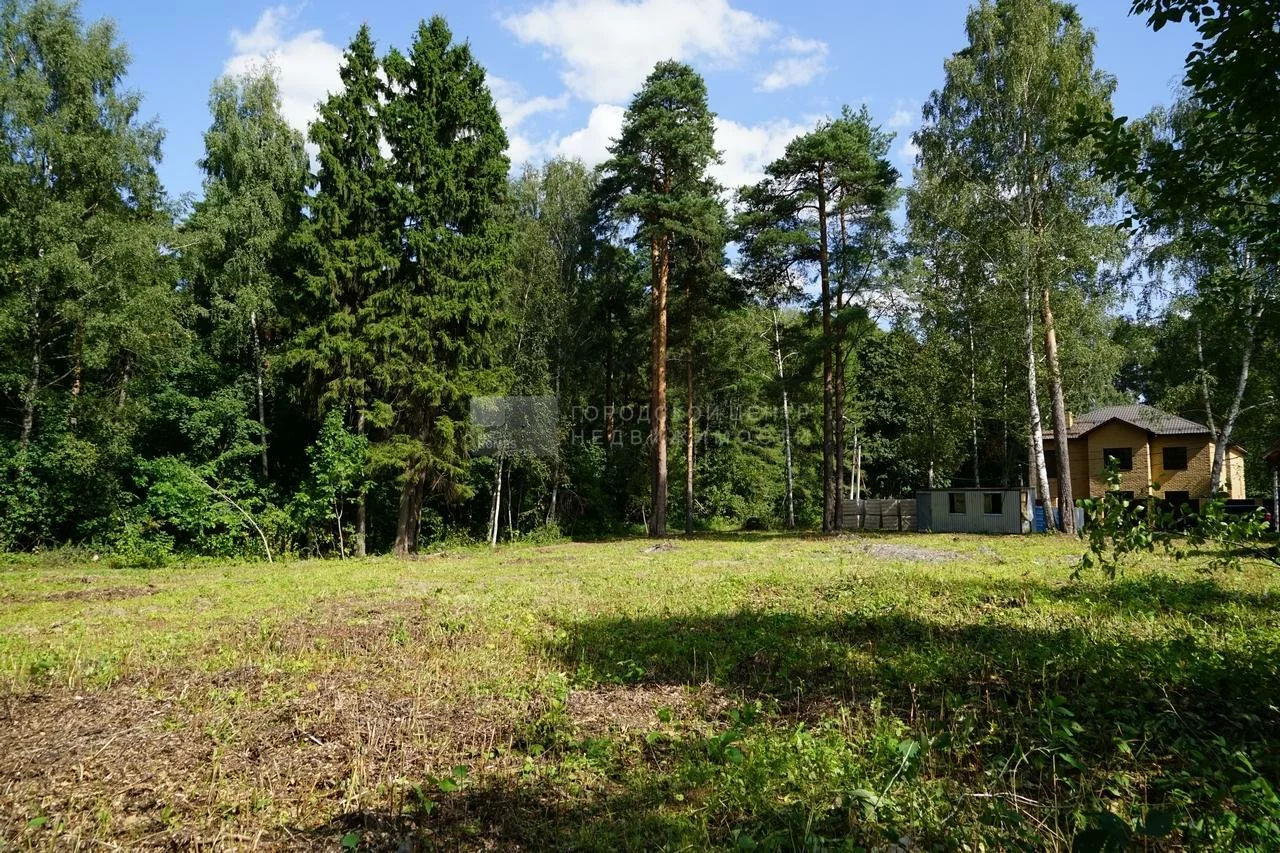 Салтыковка Балашихинский Район Фото