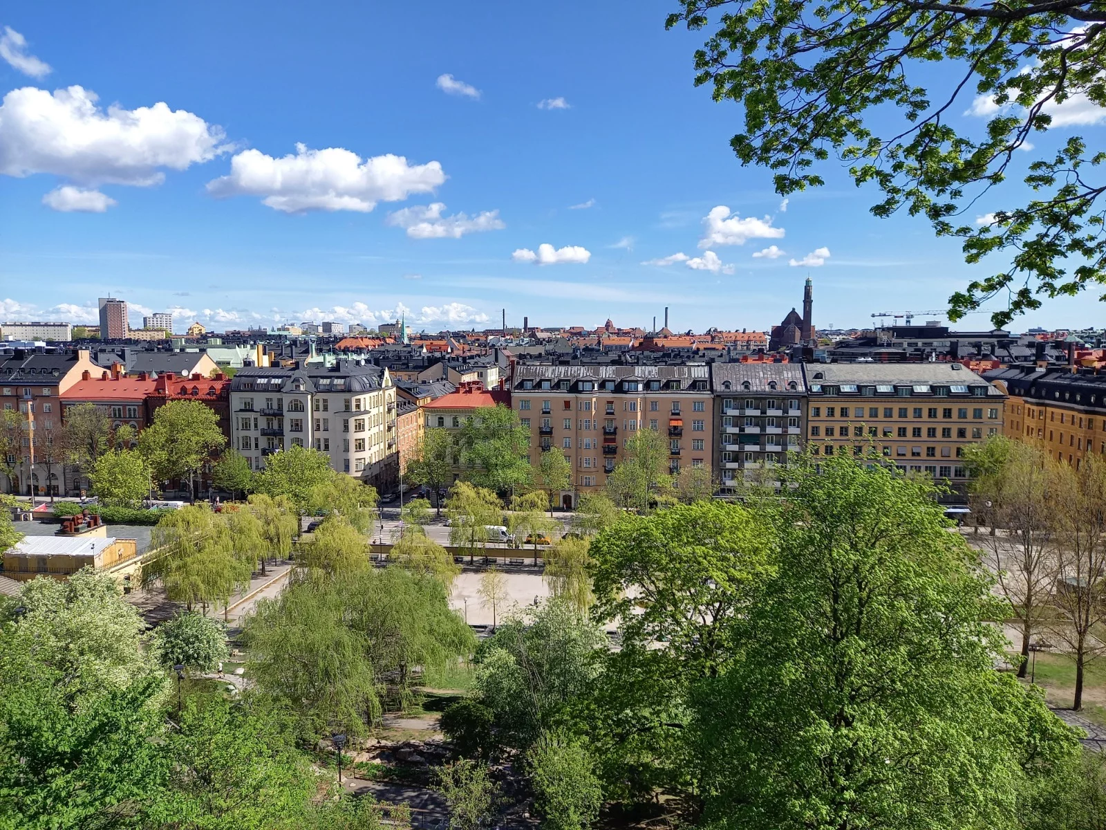Swedish view