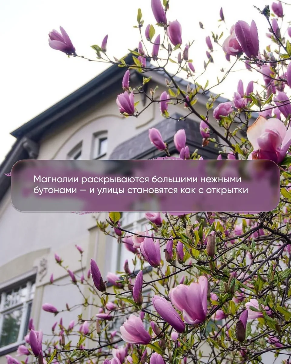 ЖК Русская Европа - приглашает в Калининград