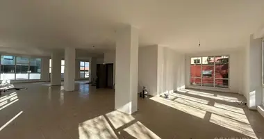 Propriété commerciale 210 m² dans Tirana, Albanie