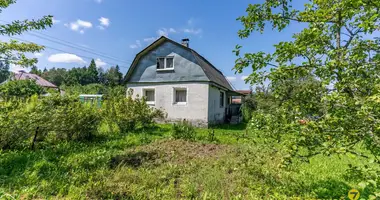 House in Januskavicki sielski Saviet, Belarus