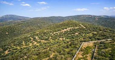 Plot of land in Megali Panagia, Greece