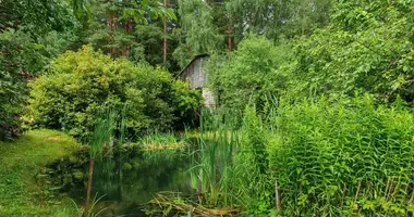 Дом в Плещеницкий сельский Совет, Беларусь