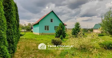 Дом 3 комнаты в Залужье, Беларусь