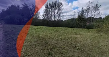 Plot of land in Holacki sielski Saviet, Belarus