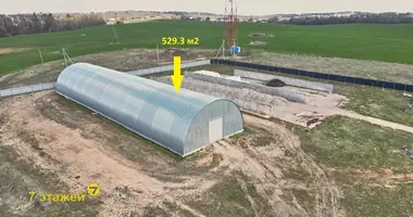 Warehouse 529 m² in Navasyno, Belarus